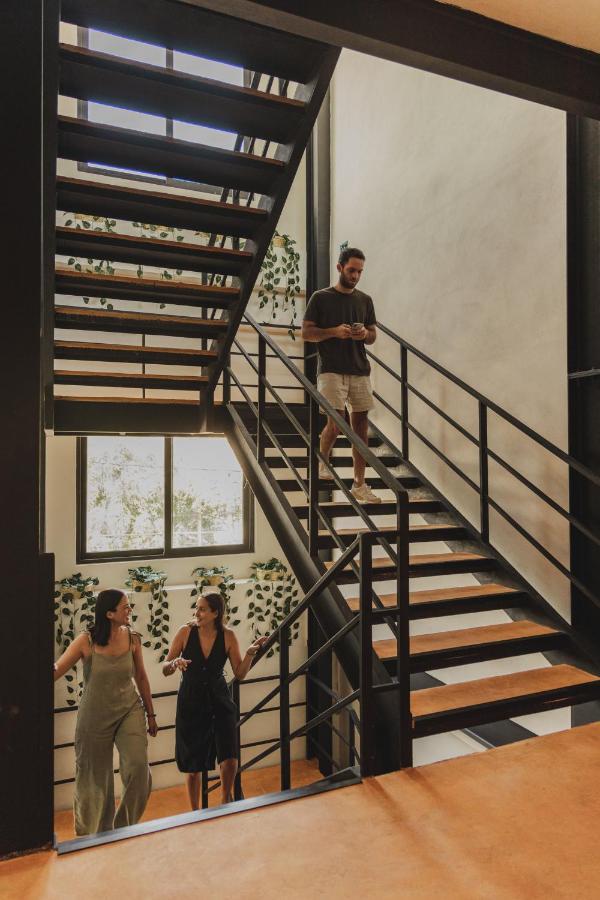 Caleta Hostel Rooftop & Pool Cancun Ngoại thất bức ảnh